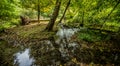 Bridge over troubled waters in the forest. White water rapids flow under the bridge Royalty Free Stock Photo