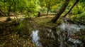 Bridge over troubled waters in the forest. White water rapids flow under the bridge Royalty Free Stock Photo