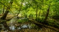 Bridge over troubled waters in the forest. White water rapids flow under the bridge Royalty Free Stock Photo