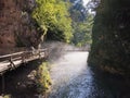 Bridge over Vintgar gorge and Radovna river near Bled, Slovenia