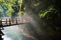 Bridge over Vintgar gorge and Radovna river with walking path near Bled in Slovenia