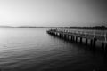 A bridge over the water. Daily activities of fishermen Black and white Royalty Free Stock Photo