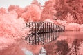 Bridge Over Water in Color Infrared