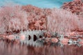 Bridge Over Water in Color Infrared