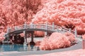 Bridge Over Water in Color Infrared