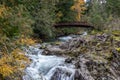 Bridge over the waterfalls and river at Little Qualicum Falls Provincial Park, B.C Royalty Free Stock Photo