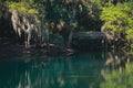 Bridge over waters of Gemini Springs, Central Florida