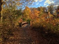 Bridge over the Wetlands on an Autumn Afternoon