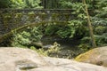 Bridge over Whatcom Creek 2