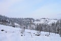 Bridge over winter river Royalty Free Stock Photo