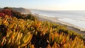 Bridge on pacific coast highway, Torrey Pines beach sunset, California road trip Royalty Free Stock Photo