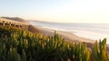 Bridge on pacific coast highway, Torrey Pines beach sunset, California road trip Royalty Free Stock Photo