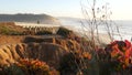 Bridge on pacific coast highway, Torrey Pines beach sunset, California road trip Royalty Free Stock Photo