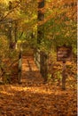 Bridge in a park