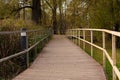 Bridge park colorful natural yellow, landscape light orange europe tree, outdoors love. Road old alley vibrant