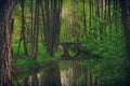 Bridge. Park. Green trees River