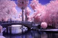 Bridge in park in infrared Royalty Free Stock Photo