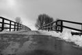 The bridge in the park under the snow in the winter in black and white.