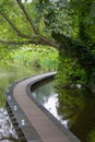 Bridge in the park. Walkway above water in forest. Curve path above pond in summer park. Peaceful place. Royalty Free Stock Photo