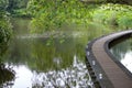 Bridge in the park. Walkway above water in forest. Curve path above pond in summer park. Peaceful place. Royalty Free Stock Photo