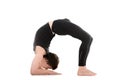 Bridge pose on elbows Royalty Free Stock Photo