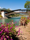 Bridge at Punakha Dzong and the Mo Chhu river in Bhutan Royalty Free Stock Photo