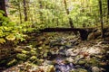 Bridge in Purgatory Chasm State Reservation on trail Berkshires, Massachusetts USA Autumn