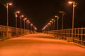Bridge with railing and street lights in night Royalty Free Stock Photo