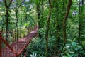Bridge in Rainforest of Monteverde
