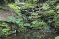 Bridge and the ravine at Rivington Terraced Gardens