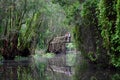 Bridge reflect on river in forest