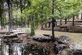 Bridge and reflection pond in Ozark Mountains Royalty Free Stock Photo