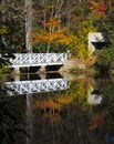 Bridge Reflections Royalty Free Stock Photo