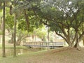 Bridge in Regional Park Santo Andre Sao Paulo Brazil.