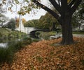 Bridge of Remembrance and Autumn Leaves, Christchurch, New Zealand