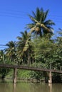 bridge, river and jungle on an island - south vietnam Royalty Free Stock Photo