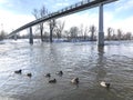 Ducks on the river under the long bridge Royalty Free Stock Photo