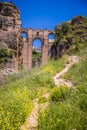 Bridge of Ronda, one of the most famous white villages of Malaga, Andalusia, Spain Royalty Free Stock Photo