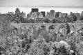 Bridge and San Diego skyline with trees on foreground Royalty Free Stock Photo