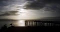 Bridge in a sea in the St. Andrew State Park under a cloudy sky during the evening Royalty Free Stock Photo