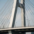 Bridge section featuring a concrete pylon with numerous tensioned Royalty Free Stock Photo