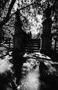 Bridge of the sirenette. Bridge of Mermaid in the Sempione park in Millano Italy.