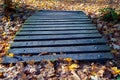 Small wooden bridge in the autumn park and a carpet of fallen leaves. Royalty Free Stock Photo