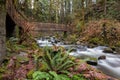 Bridge and Stairs along Hiking Path over McDowell Creek