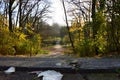 Bridge and stairs going down in autumn park Royalty Free Stock Photo