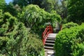 Bridge and stairs going up from Japanese garden.