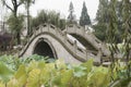 Bridge through lotus pond Royalty Free Stock Photo