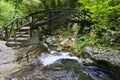 Bridge on stream in morigerati Royalty Free Stock Photo