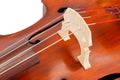 Bridge and strings on a contrabass Royalty Free Stock Photo