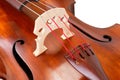 Bridge and strings on a contrabass Royalty Free Stock Photo